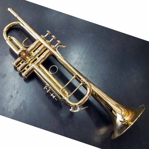 Trompette de poche trompinette mini trompette Sib MTP T-210 grand pavillon  à l'Atelier des Vents Marseille