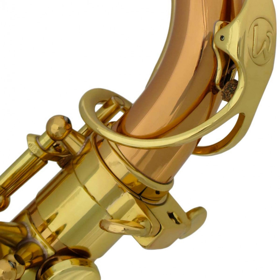 Saxophone Instrument a Vent Bois Sax Tenor Levier Fa# Laiton Coffre Embout  Set