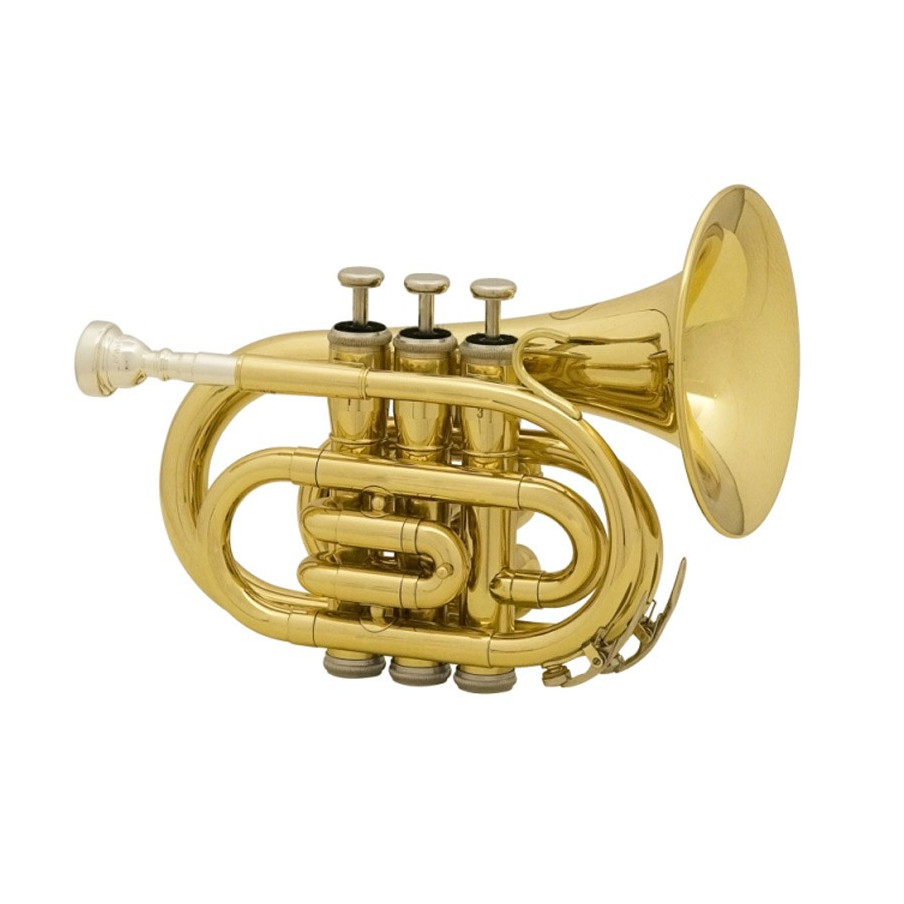 https://www.atelier-des-vents.com/6297-medium_default/trompette-de-poche-mtp-t-210-mini-trompette.jpg