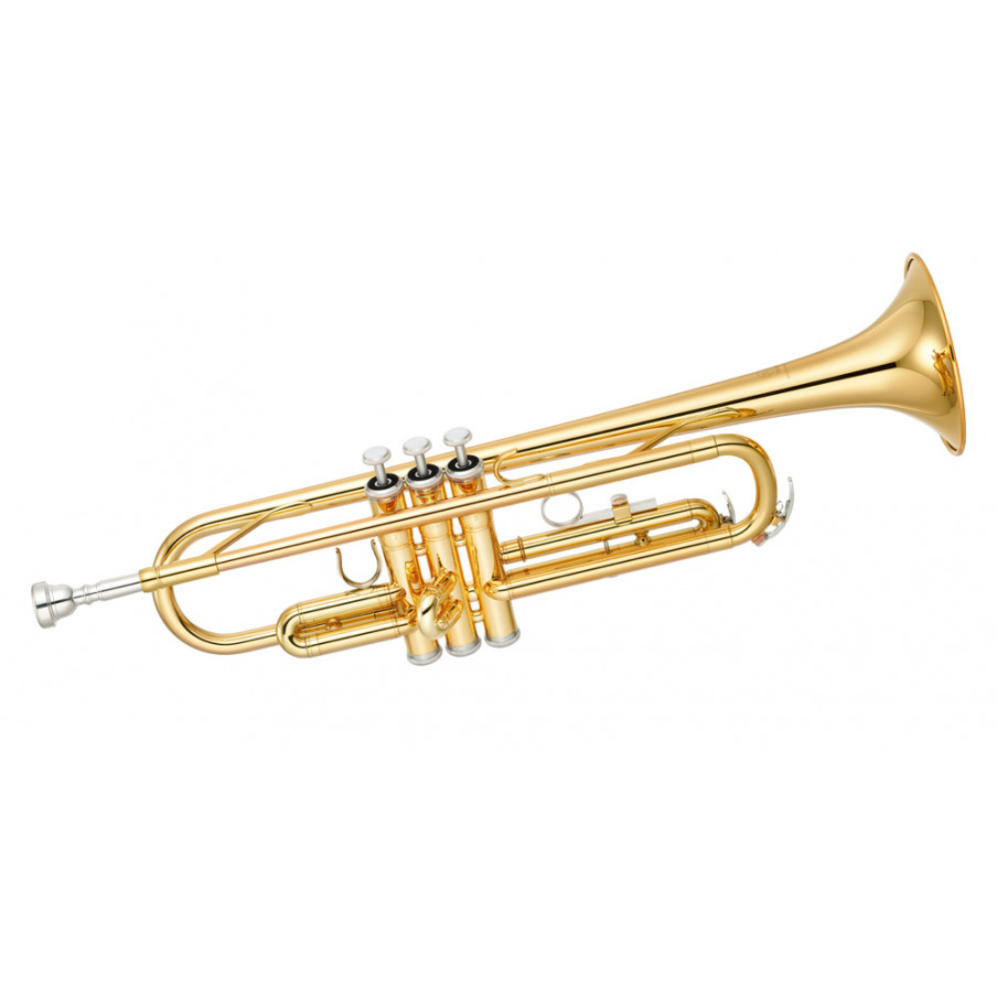 Trompette Wah Sourdine Trompette droite Sourdine pour musiciens de jazz