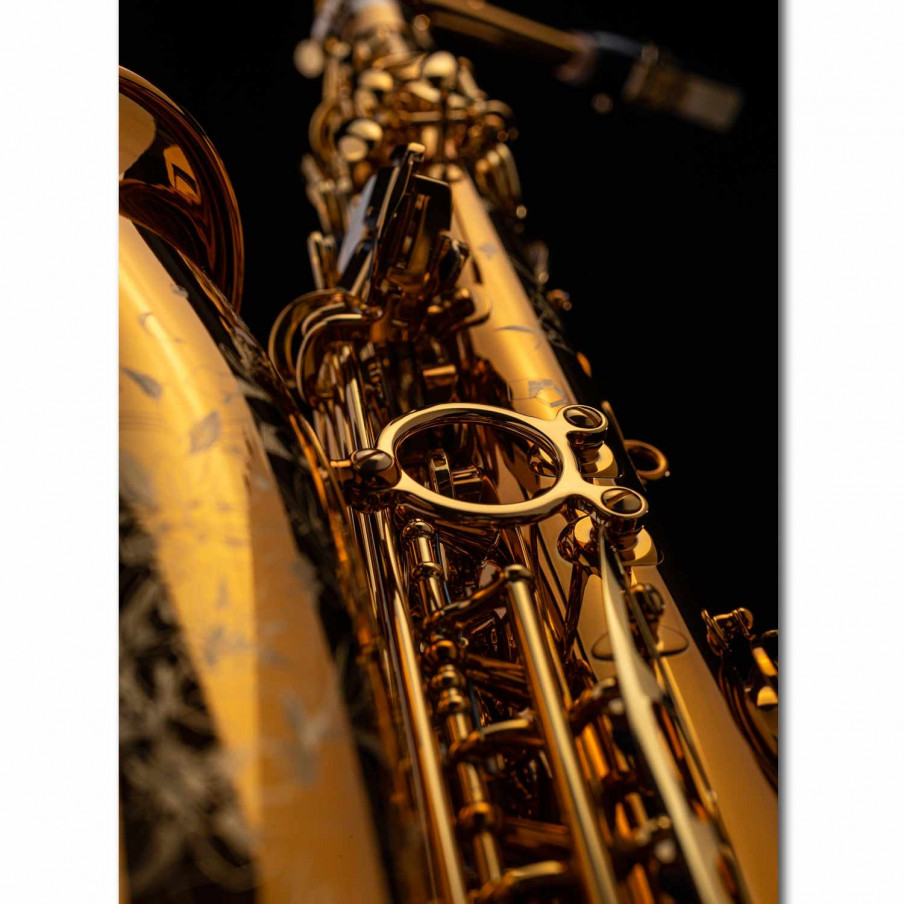3 Anches saxophone alto RIGOTTI Gold coupe Jazz à l'Atelier des Vents  Marseille Vandoren - Forces d'Anches 3,5