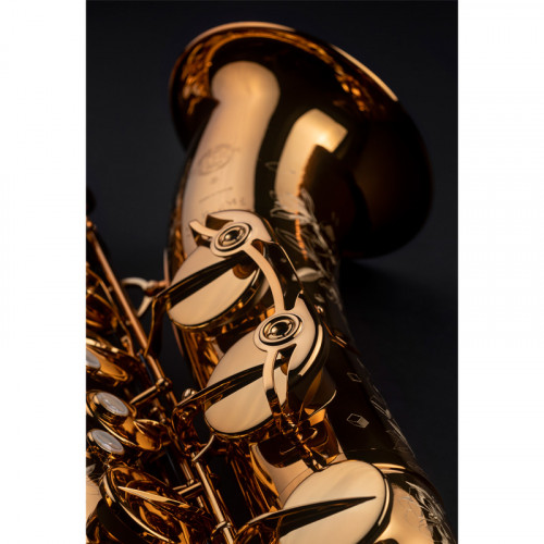 Saxophone alto SELMER Supreme à Atelier des Vents Marseille Selmer