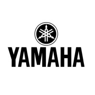 Yamaha Music Entertainment Holdings